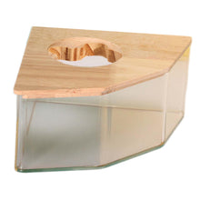 Load image into Gallery viewer, Small Foot Hamster Sand Bath Container