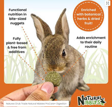 Load image into Gallery viewer, Natural Nibbles ProCare+ Digestion