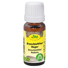 Load image into Gallery viewer, Cdvet - BronchialVital Rodents 100ml