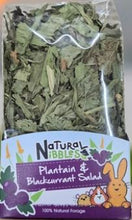 Load image into Gallery viewer, Natural Nibbles Plantain &amp; Blackcurrant Salad 100g
