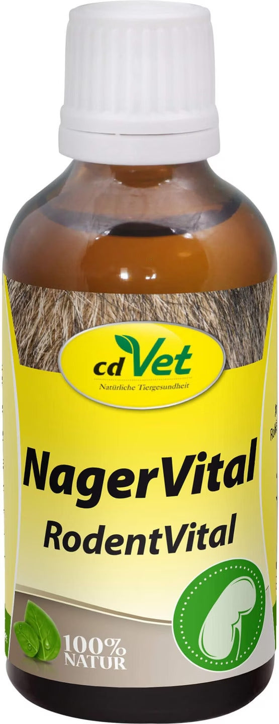 (Promo) ( Expire Date : Jan 2026 ) Cdvet - BronchialVital Rodents 100ml