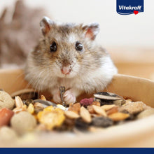 Load image into Gallery viewer, Vitakraft Menu Vital Hamster Food 1kg
