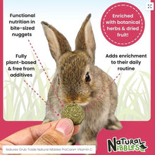 Load image into Gallery viewer, Natural Nibbles ProCare+ Vitamin C
