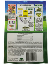 Load image into Gallery viewer, Sherwood Timothy Recovery Guinea Pig 200g ( Expire Date : Jan 2027)
