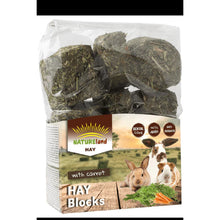 Load image into Gallery viewer, Natureland Hay Block With Carrot  600G
